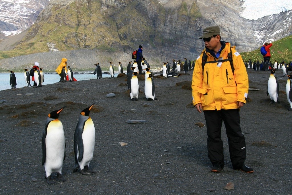 G&G призывает к действиям по сохранению находящихся под угрозой исчезновения императорских пингвинов